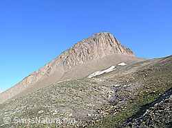 F037768: Holzjihorn