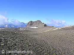 F037786: Holzjihorn