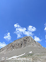 F037912: Holzjihorn