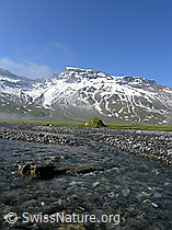 F038276: Wildstrubel und Steghorn