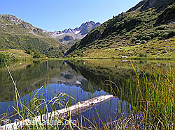 F039026: Spieglung des Ofenhorns im Halsesee