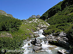 F039049: Binna bei Chiestafel