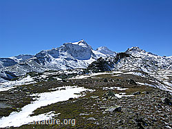 F039264: Hillehorn, Bortelhorn und Gibelhorn