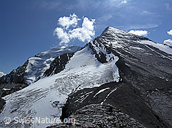 F039856: Balmhorn, Balmhorngletscher, Altelsgletscher, Altels