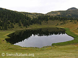 F040327: Sewenseeli, Glaubenberg