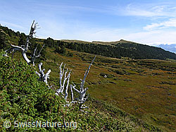 F040354: Rickhubel und Herbstlandschaft