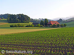 F040751: Kulturland und Bauernhof