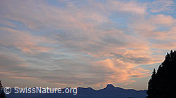 F041023: Abendstimmung über der Stockhornkette