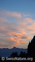 F041031: Abendstimmung über dem Stockhorn
