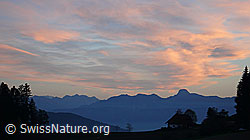 F041032: Abendstimmung über der Stockhornkette
