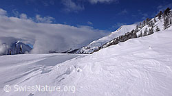 F041874: Schneeverwehung in Winterlandschaft