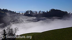 F042337: An der Nebelgrenze