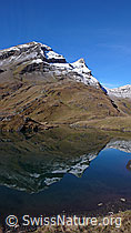 F043113: Spiegelung von Reeti und Simelihorn