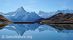 F043118: Spiegelung der Berner Alpen im Bachsee
