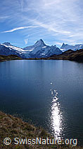 F043141: Bachalpsee und Schreckhorn