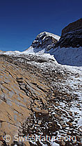 F043192: Wart, Schwarzhorn, Hinterbirg