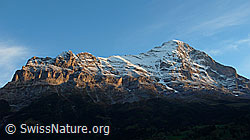 F043259: Ostegg, Hörnli, Mittellegi, Eiger
