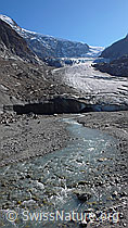 Foto: Steingletscher, Gletschertor und Gletscherbach