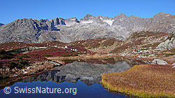 F043370: Kräftige Herbstfarben an Bergsee mit Spiegelung