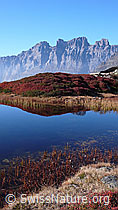 F043382: Bergsee im Herbst