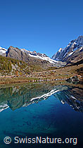 F043516: Spiegelung im Grundsee