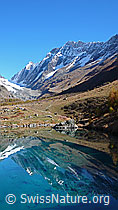 F043519: Spiegelung im Grundsee