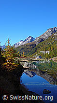 F043525: Spiegelung im Grundsee