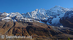 F043622: Lonzahörner, Lötschentaler Breithorn und Dischliggletscher