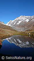 F043638: Spiegelung im Guggisee