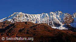 F043675: Lötschentaler Breithorn und Breitlauihorn