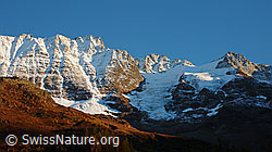 F043677: Breitlauihorn, Loibinbachgletscher, Oigschtchummungletscher und Chiehorn