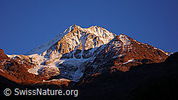 F043681: Bietschhorn, Birchgletscher und Klein Nesthorn