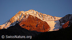 F043687: Bietschhorn, Klein Nesthorn und Nestgletscher