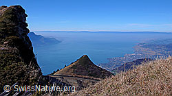 F044073: Rochers de Naye: Le Merdasson und Le Léman