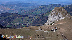 F044075: Dent de Jaman