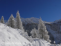 F044127: Verschneite Berglandschaft mit Spur im Schnee