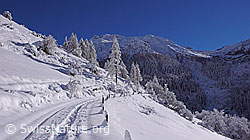 F044191: Schneebedeckter Wanderweg mit Schneeschuhspur