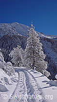 F044199: Schneeschuhtrail