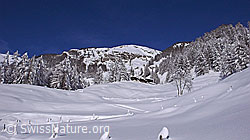 F044224: Frisch verschneite Winterlandschaft
