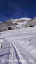 F044229: Schneeschuhtrail und Alphütten