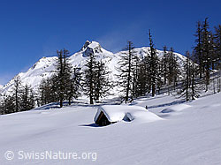 F045462: Berglandschaft im Winter