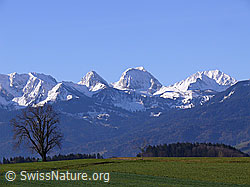 F045911: Gantrisch
