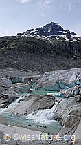 F049880: Rhonequelle