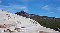 Photo: Gletscherschliff und Tällistock