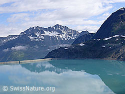 F050073: Spiegelung im Griessee