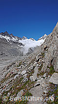 F050308: Bergweg am Oberaarsee
