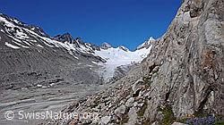 F050309: Bergweg und Gletschervorfeld des Oberaargletschers