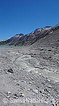 F050349: Gletschervorfeld Oberaar