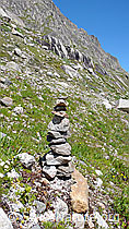 F050371: Steinmann in Alpengarten