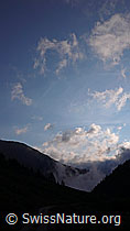 F050858: Morgenstimmung